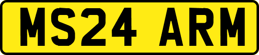 MS24ARM