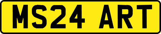 MS24ART