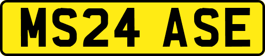 MS24ASE