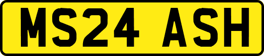 MS24ASH