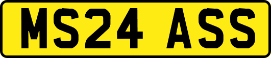 MS24ASS