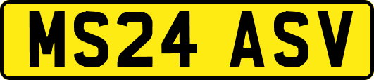 MS24ASV