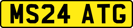 MS24ATG