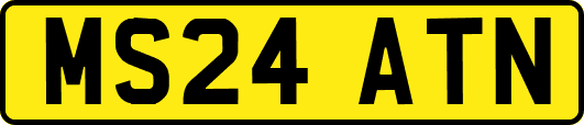 MS24ATN