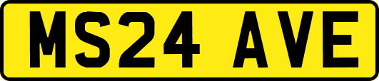 MS24AVE