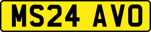 MS24AVO