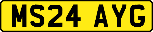 MS24AYG