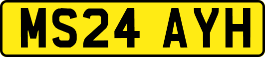 MS24AYH