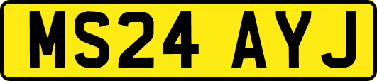 MS24AYJ