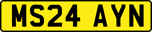 MS24AYN