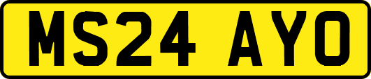 MS24AYO