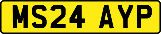 MS24AYP