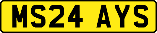 MS24AYS