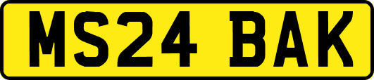 MS24BAK