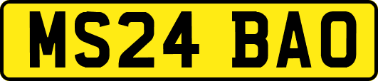 MS24BAO