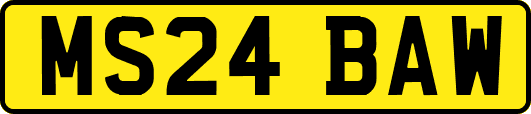 MS24BAW