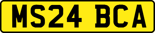 MS24BCA