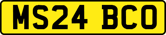 MS24BCO