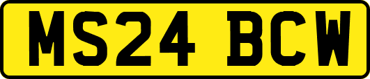 MS24BCW