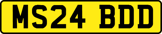 MS24BDD