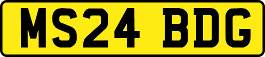 MS24BDG