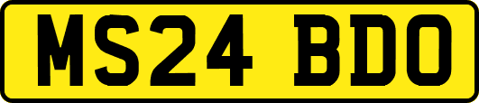 MS24BDO