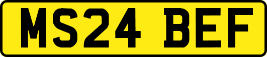 MS24BEF