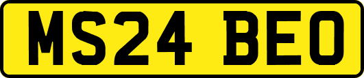 MS24BEO