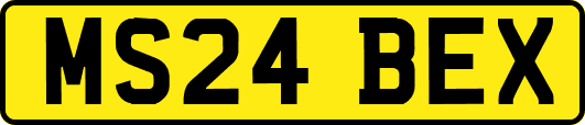 MS24BEX