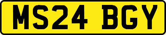 MS24BGY