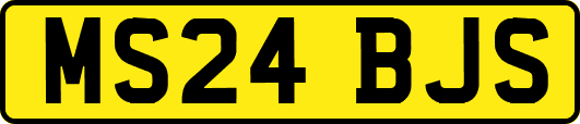 MS24BJS