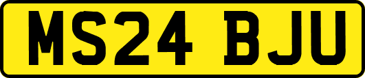 MS24BJU