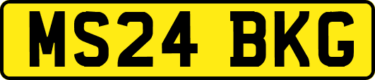 MS24BKG