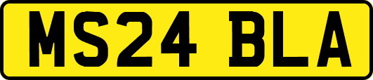 MS24BLA
