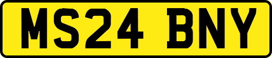 MS24BNY