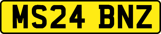 MS24BNZ