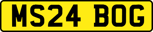 MS24BOG