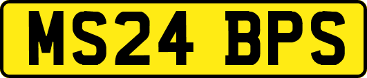MS24BPS