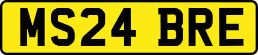 MS24BRE