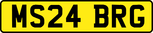 MS24BRG