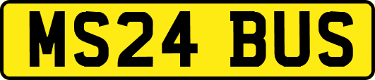 MS24BUS
