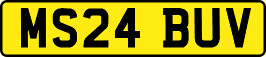 MS24BUV