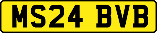 MS24BVB
