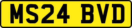 MS24BVD