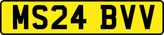 MS24BVV