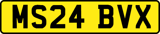 MS24BVX