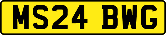 MS24BWG