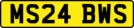 MS24BWS