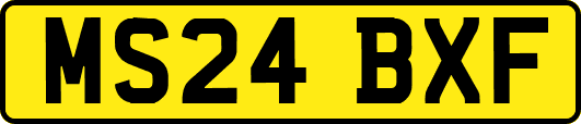 MS24BXF