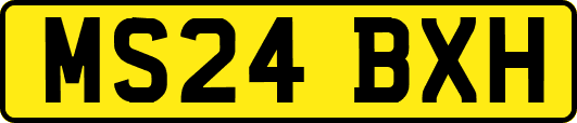 MS24BXH